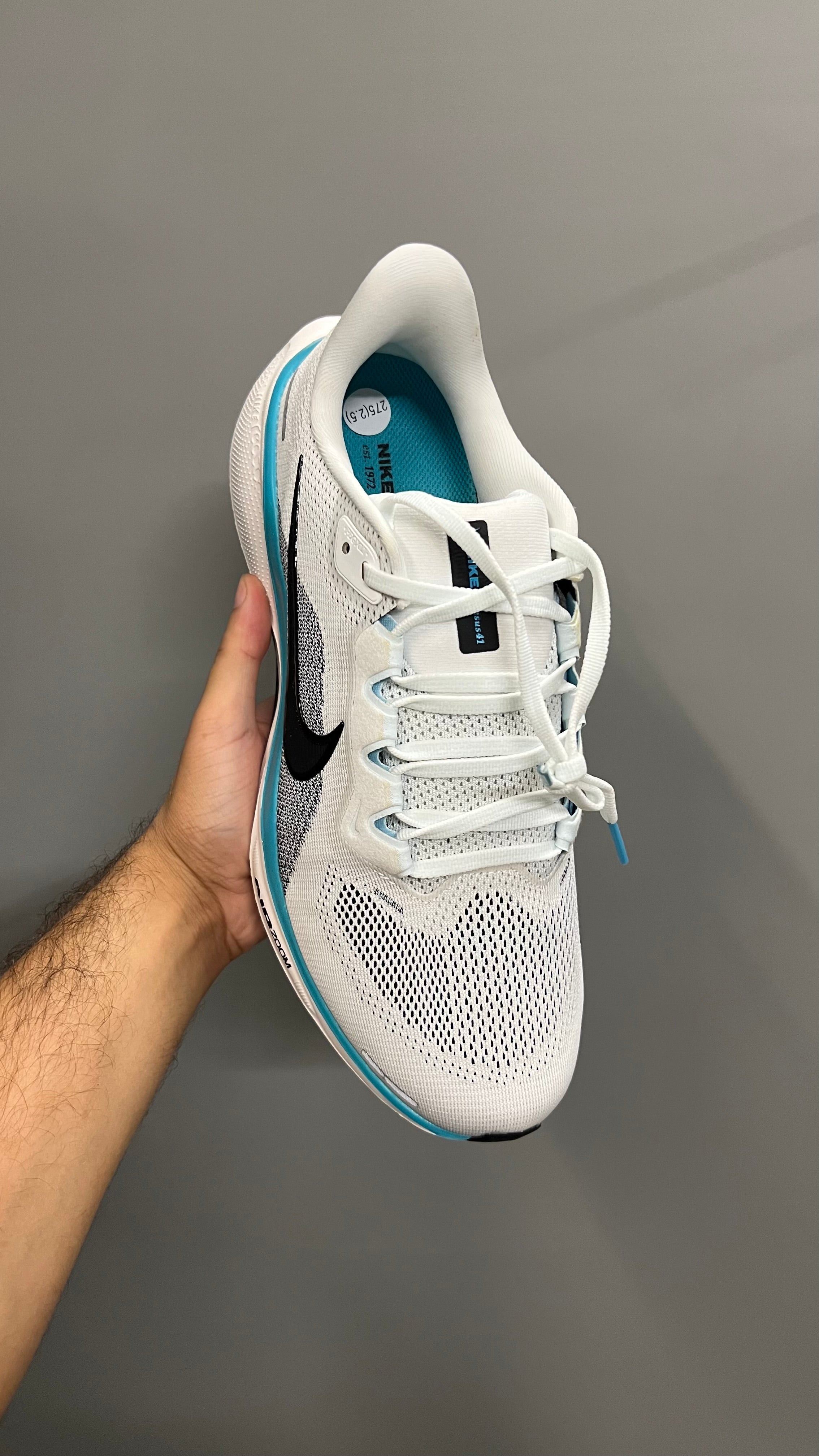 Nike Air Zoom Pegasus 41 | Dusty Cactus